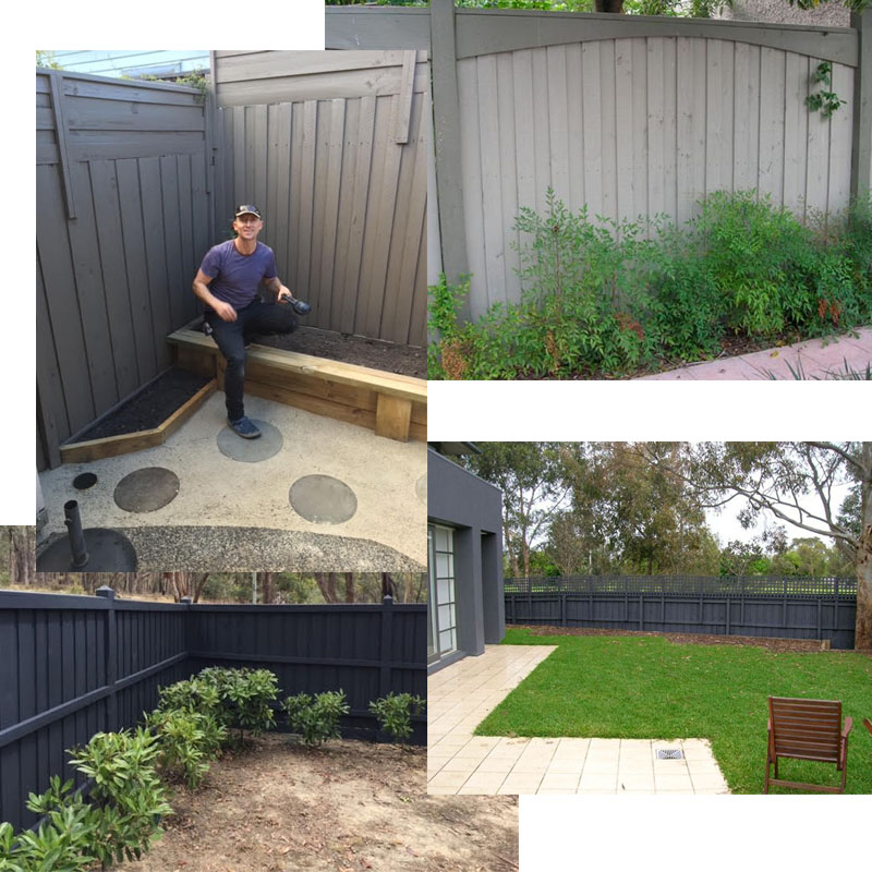 Fence painter hawthorn